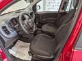 Fiat Panda Cross 1.0 FireFly Hybrid Rouge - thumbnail 6