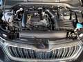 Skoda Kamiq 1.0 TSI Ambition DSG Mirror Link Einparkhi Schwarz - thumbnail 13