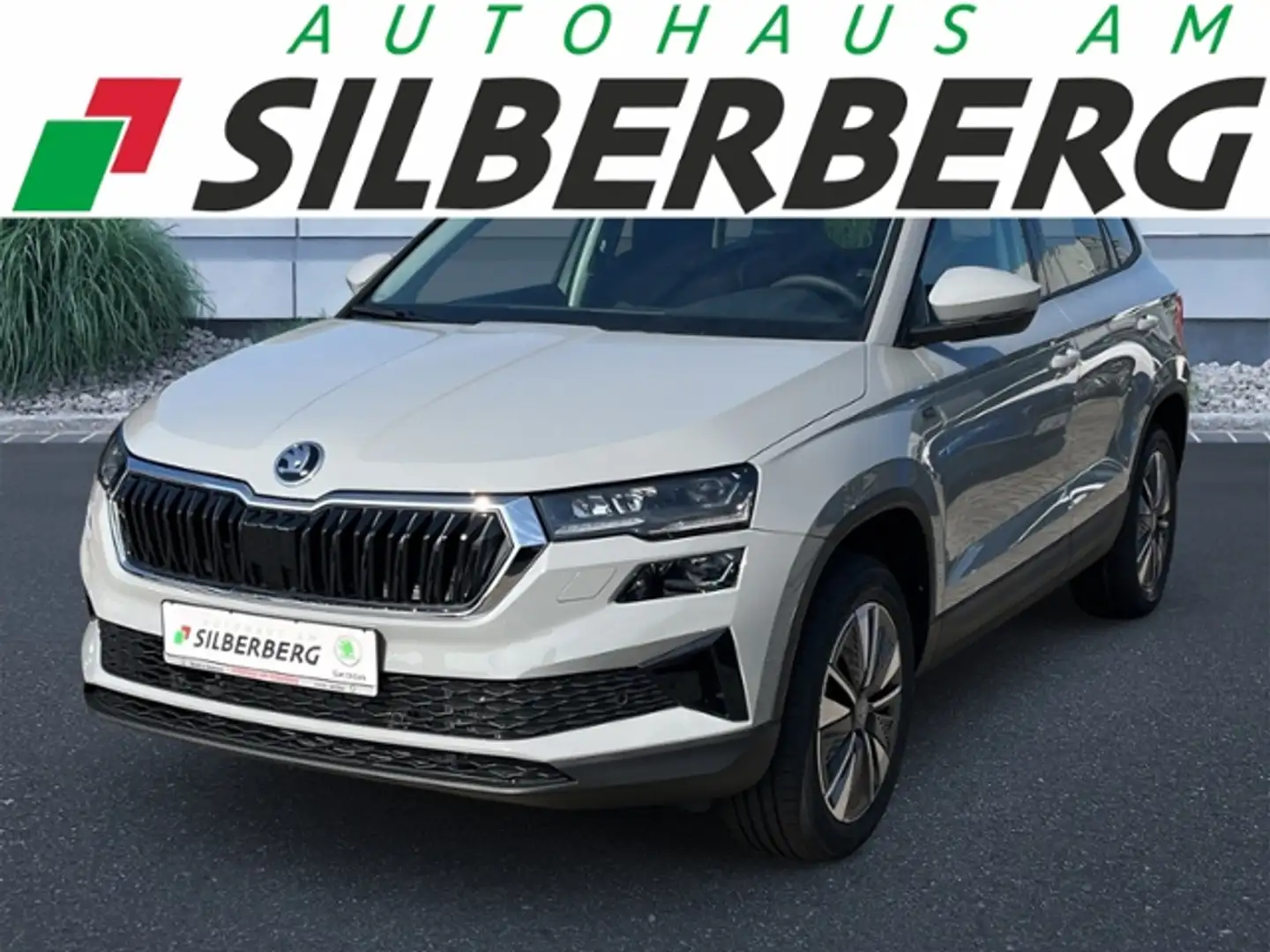 Skoda Karoq 1.5 TSI TOUR AHK Matrix Kamera Grau - 1