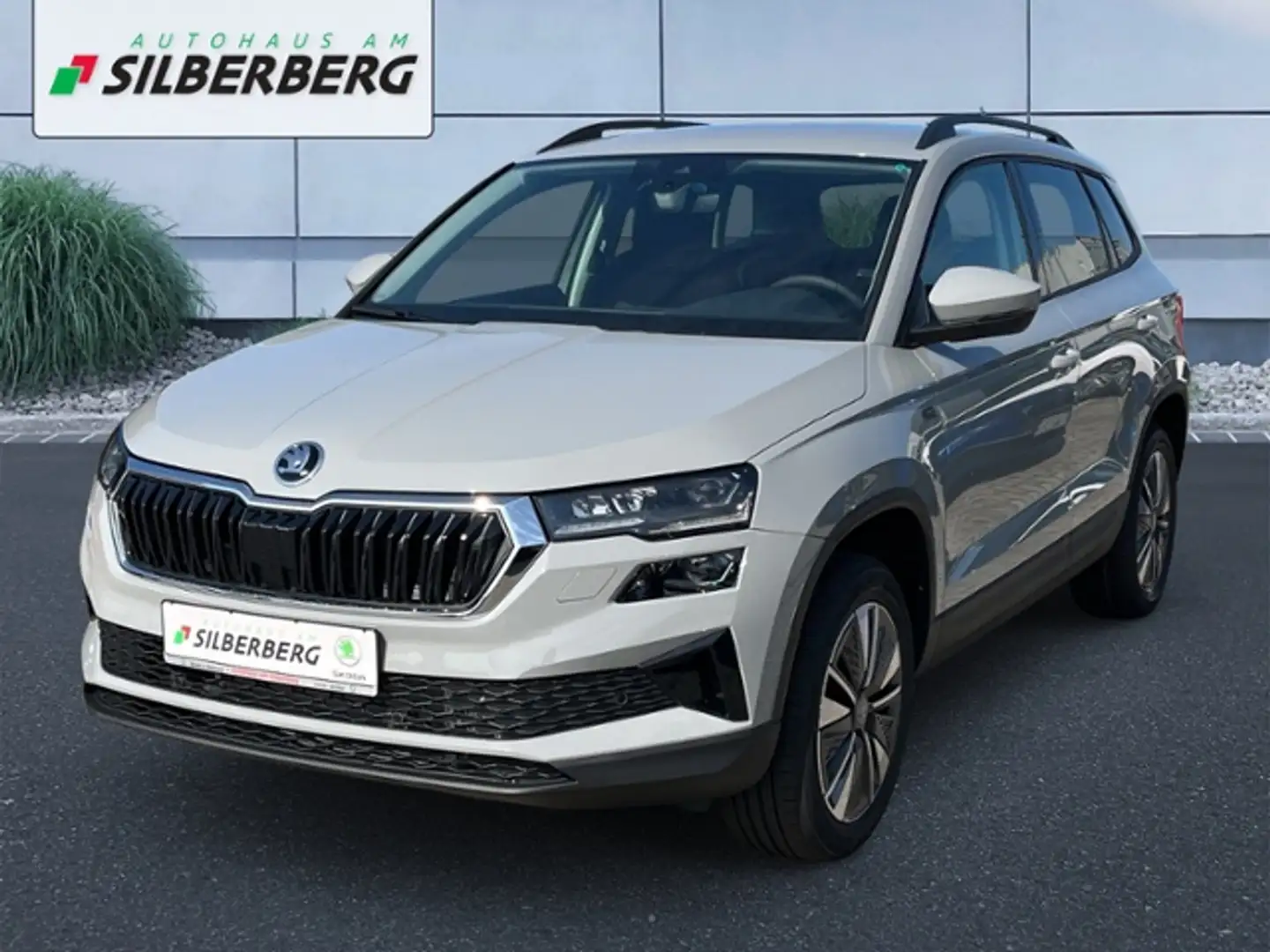 Skoda Karoq 1.5 TSI TOUR AHK Matrix Kamera Grau - 2