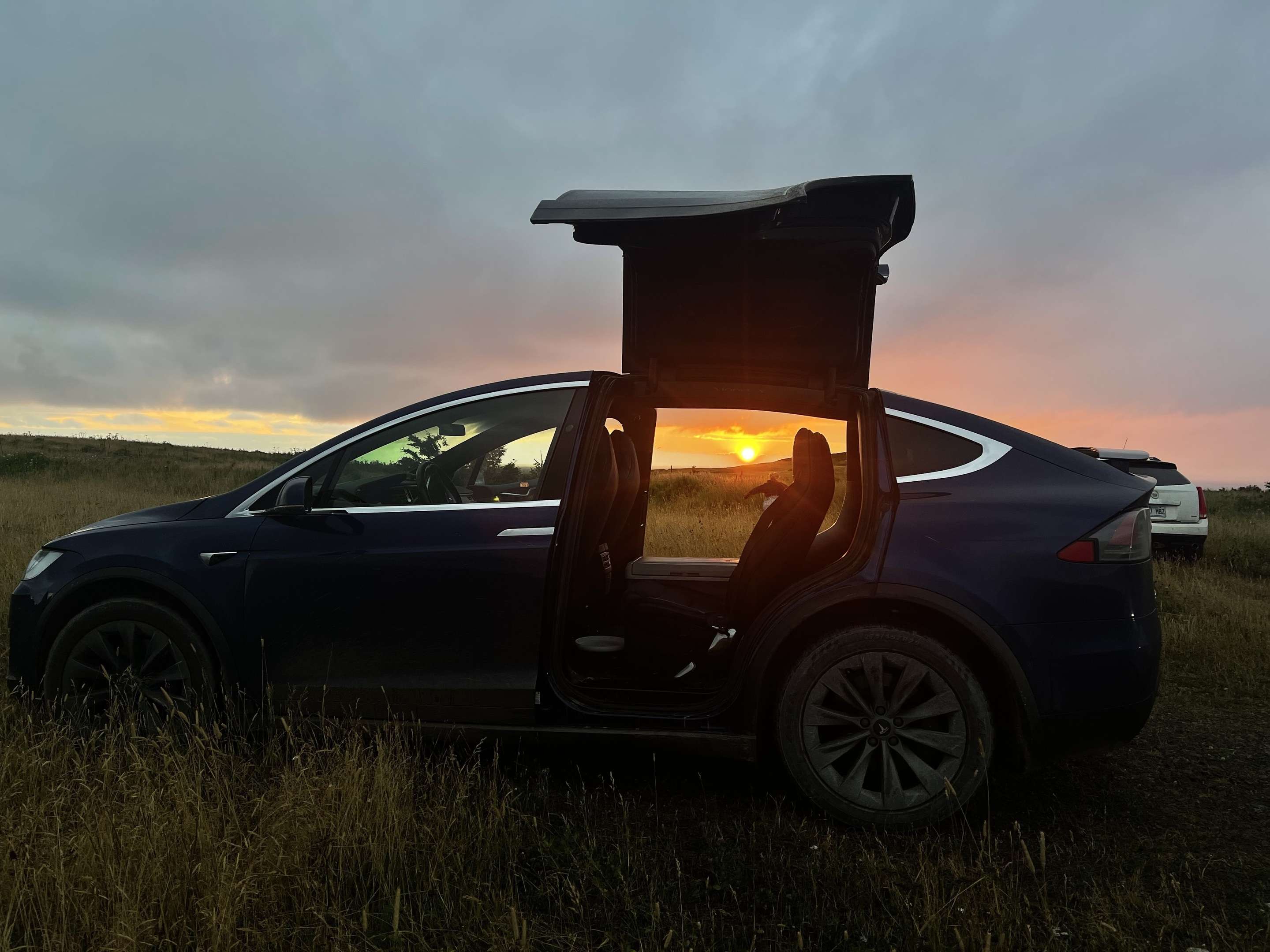2017 Tesla Model X Base - 75D 4D Utility