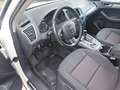 Audi Q5 2.0 TDI 170 CV quattro S tronic Weiß - thumbnail 14