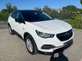 Opel Grandland X 2.0 D 120 Jahre Aut. Navi+Ahk+Kamera Blanco - thumbnail 6