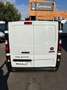 Fiat Talento Fg. 1.6 Mjt Base Corto 1,2 88kW Blanco - thumbnail 29