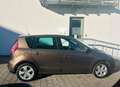 Renault Scenic III Dynamique Braun - thumbnail 12