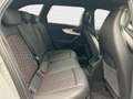 Audi RS4 quattro*Navi*Matrix*HUD*B&O*PDC*RS-Dy Gris - thumbnail 16