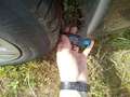 Volkswagen Golf Variant 2.0TDI 85kW Life DSG Azul - thumbnail 10