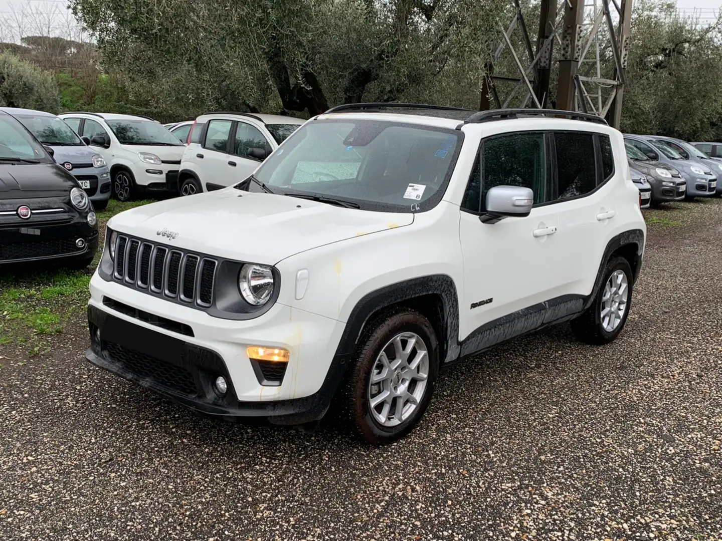 Jeep Renegade 1.6 Mjt 130 CV Limited Alb - 1