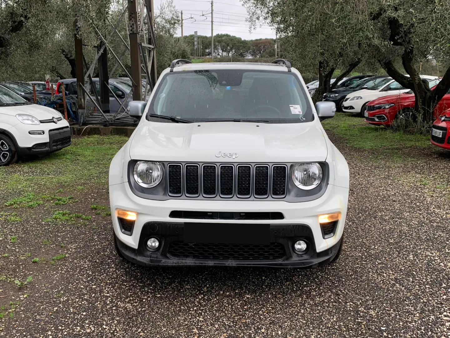 Jeep Renegade 1.6 Mjt 130 CV Limited Alb - 2