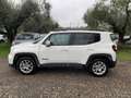 Jeep Renegade 1.6 Mjt 130 CV Limited Alb - thumbnail 8