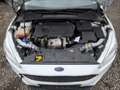 Ford Focus Business 1.5 TDCi Motorschaden Blanc - thumbnail 8