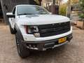 Ford F 150 RAPTOR 6.2 V8 411PK. **** Topstaat ***** Weiß - thumbnail 6