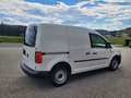 Volkswagen Caddy Kastenwagen TDI - NETTO € 10.400,- Weiß - thumbnail 5