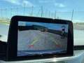 Ford Kuga 1.5 ecoblue ST-Line 2wd 120cv auto PREZZO VERO Grigio - thumbnail 6