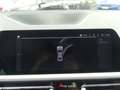 BMW 318 318i Advantage Aut. LED Digitales Cockpit AHK Grau - thumbnail 19