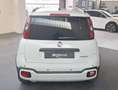 Fiat Panda Pandina III 2024 Cross Pandina Cross 1.0 hybrid s Bianco - thumbnail 5