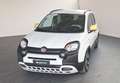 Fiat Panda Pandina III 2024 Cross Pandina Cross 1.0 hybrid s Bianco - thumbnail 1