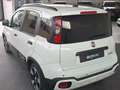 Fiat Panda Pandina III 2024 Cross Pandina Cross 1.0 hybrid s Bianco - thumbnail 7