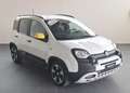 Fiat Panda Pandina III 2024 Cross Pandina Cross 1.0 hybrid s Bianco - thumbnail 3