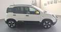 Fiat Panda Pandina III 2024 Cross Pandina Cross 1.0 hybrid s Bianco - thumbnail 4