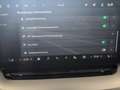 Skoda Octavia Selection TDI DSG Schwarz - thumbnail 21