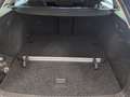 Skoda Octavia Selection TDI DSG Schwarz - thumbnail 9
