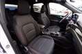 Ford Kuga 2.5 full hybrid ST-Line awd 190cv cvt Bianco - thumbnail 14