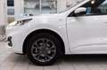 Ford Kuga 2.5 full hybrid ST-Line awd 190cv cvt Bianco - thumbnail 7