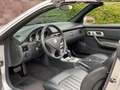 Mercedes-Benz SLK 230 Kompressor FINAL EDITION Automatik Silber - thumbnail 11