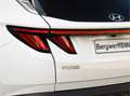 Hyundai TUCSON 1.6 T-GDI PHEV Premium Sky 4WD - Pano - ACC - Came Fehér - thumbnail 10