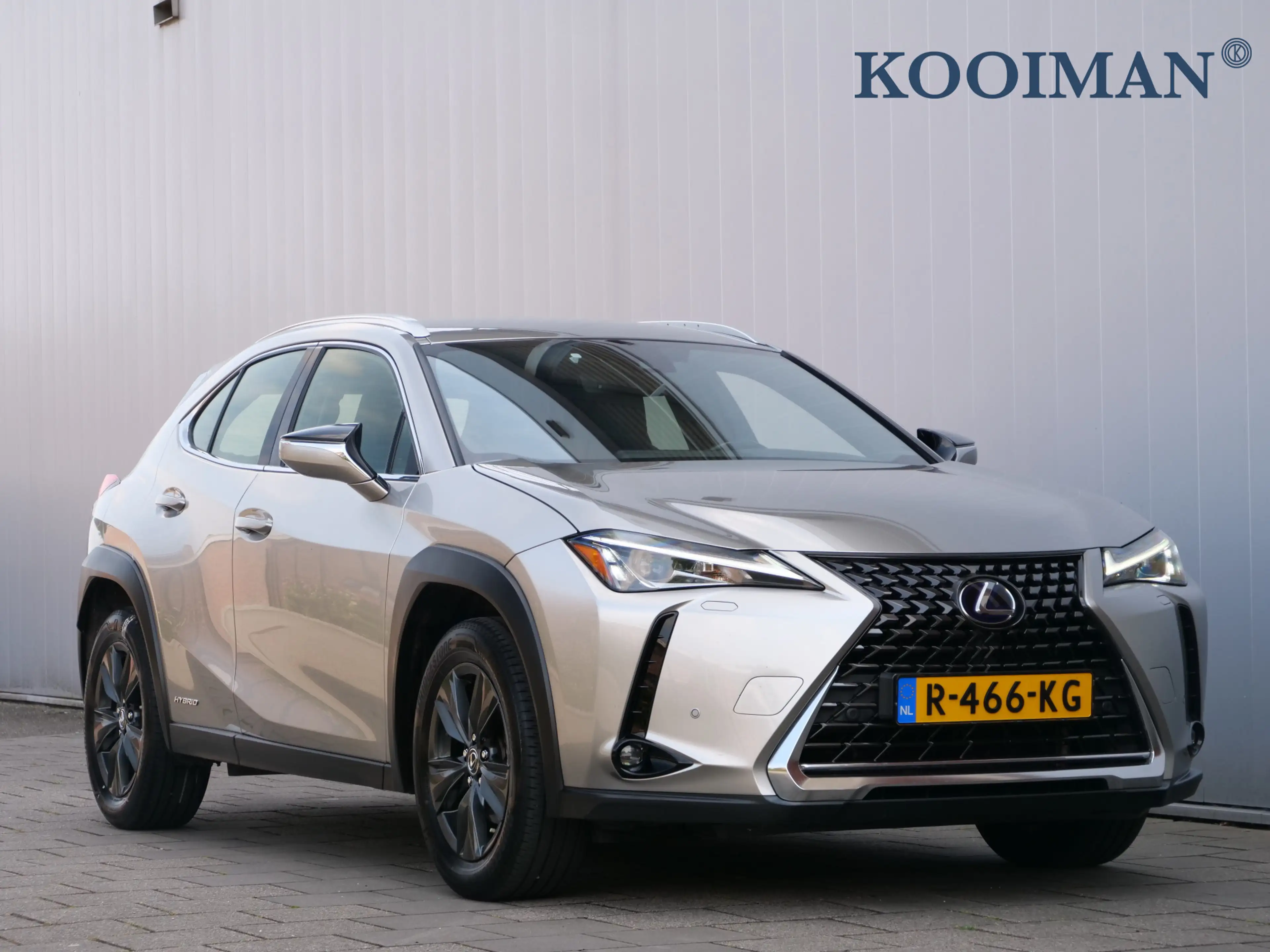 Lexus UX 250h Business Line 262Pk Winterpakket / Camera / Carpla