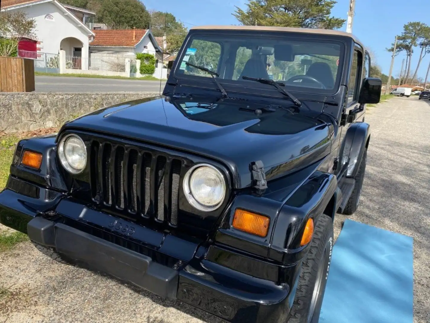Jeep Wrangler Wrangler 4.0 Negro - 2