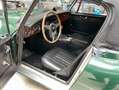 Austin-Healey 3000 Mk3 Ph2, BJ8 Grün - thumbnail 6