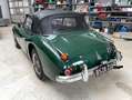 Austin-Healey 3000 Mk3 Ph2, BJ8 Grün - thumbnail 3
