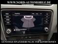 Skoda Octavia Combi Ambition 1.6 TDI Navi/AHK/PDC Ambition Silber - thumbnail 16