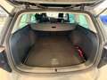 Volkswagen Golf Variant 1.6TDI Business Edition DSG7 Gris - thumbnail 7