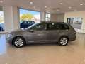 Volkswagen Golf Variant 1.6TDI Business Edition DSG7 Gris - thumbnail 4