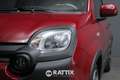Fiat Panda Pandina 1.0 Firefly Hybrid 70CV Cross Rosso - thumbnail 3