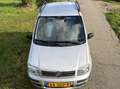 Fiat Panda Panda 1.2 Edizione Cool Argent - thumbnail 5