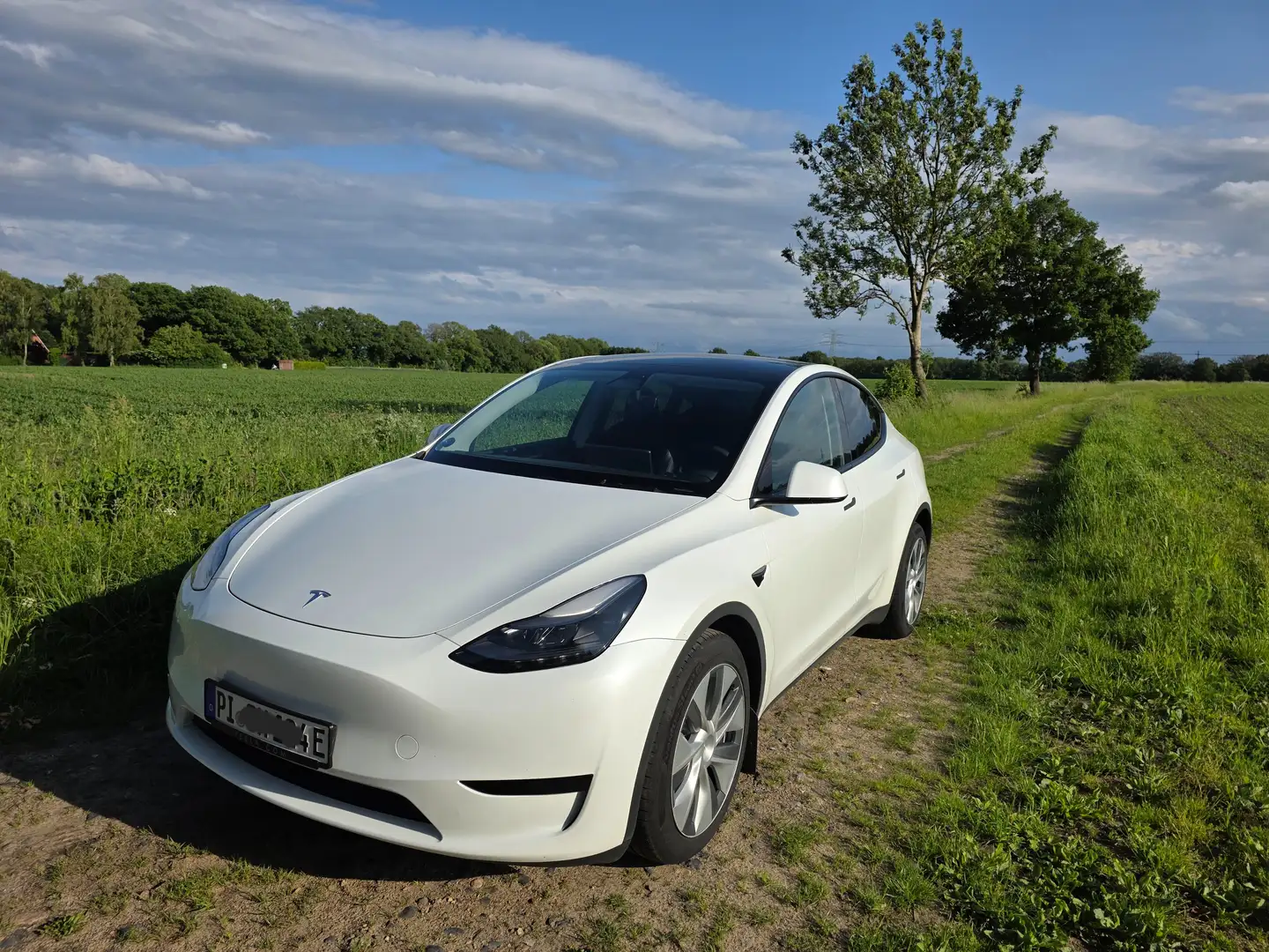 Tesla Model Y Model Y RWD - 1