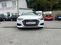 Audi A4 40 TDI quattro bei Finanzierung FIX 6,274%*STH*AHK Weiß - thumbnail 5