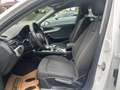 Audi A4 40 TDI quattro bei Finanzierung FIX 6,274%*STH*AHK Weiß - thumbnail 15