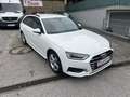 Audi A4 40 TDI quattro bei Finanzierung FIX 6,274%*STH*AHK Weiß - thumbnail 13