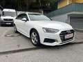 Audi A4 40 TDI quattro bei Finanzierung FIX 6,274%*STH*AHK Weiß - thumbnail 12