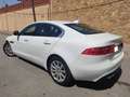 Jaguar XE 2.0 Diesel Portfolio 180 Blanc - thumbnail 3