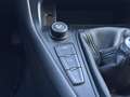 Ford Focus Sportbreak 1.0 Ecoboost Trend+ 125 Gris - thumbnail 15
