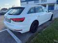 Audi A4 A4 Avant 2.0 tdi 150cv multitronic Weiß - thumbnail 5
