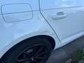 Audi A4 A4 Avant 2.0 tdi 150cv multitronic Weiß - thumbnail 6