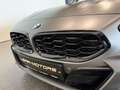 BMW Z4 sDrive 20i *M-SPORT*FROZENGREY*H&K*HUD*NEU*MEGA Grau - thumbnail 11