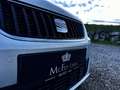 SEAT Alhambra ECOMOTIVE - 7 SITZER - ELEKTR. SCHIEBETÜR - ELE... Grijs - thumbnail 12